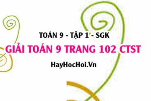 Giải Toán 9 trang 102 tập 1 Chân trời sáng tạo